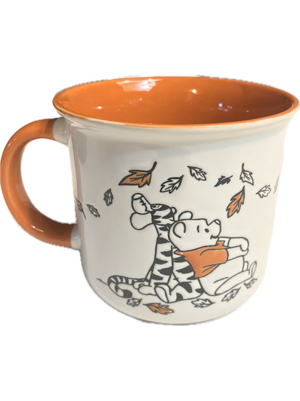 Disney Winnie the Pooh Autumn Fall Leaves Campfire Mug New Without Tags